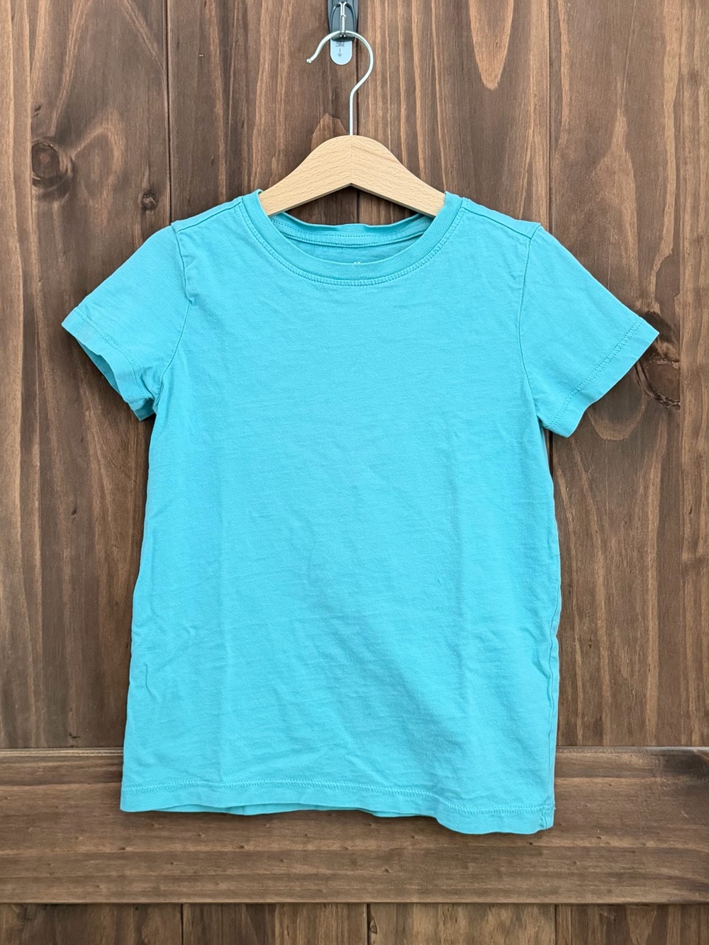 Primary Aqua Classic T-Shirt